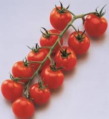 Pépinières De L&179.jpg039;Authion Plto3 Tomate Cerise Grappe SUPER SWEAT 100 F1 179